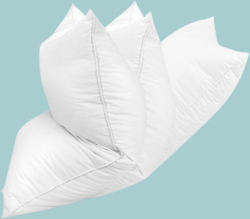 Zibroges Signature Features